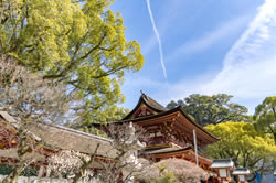 太宰府天満宮